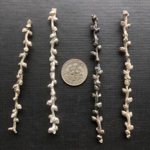 Organic Palm Sprout Casting