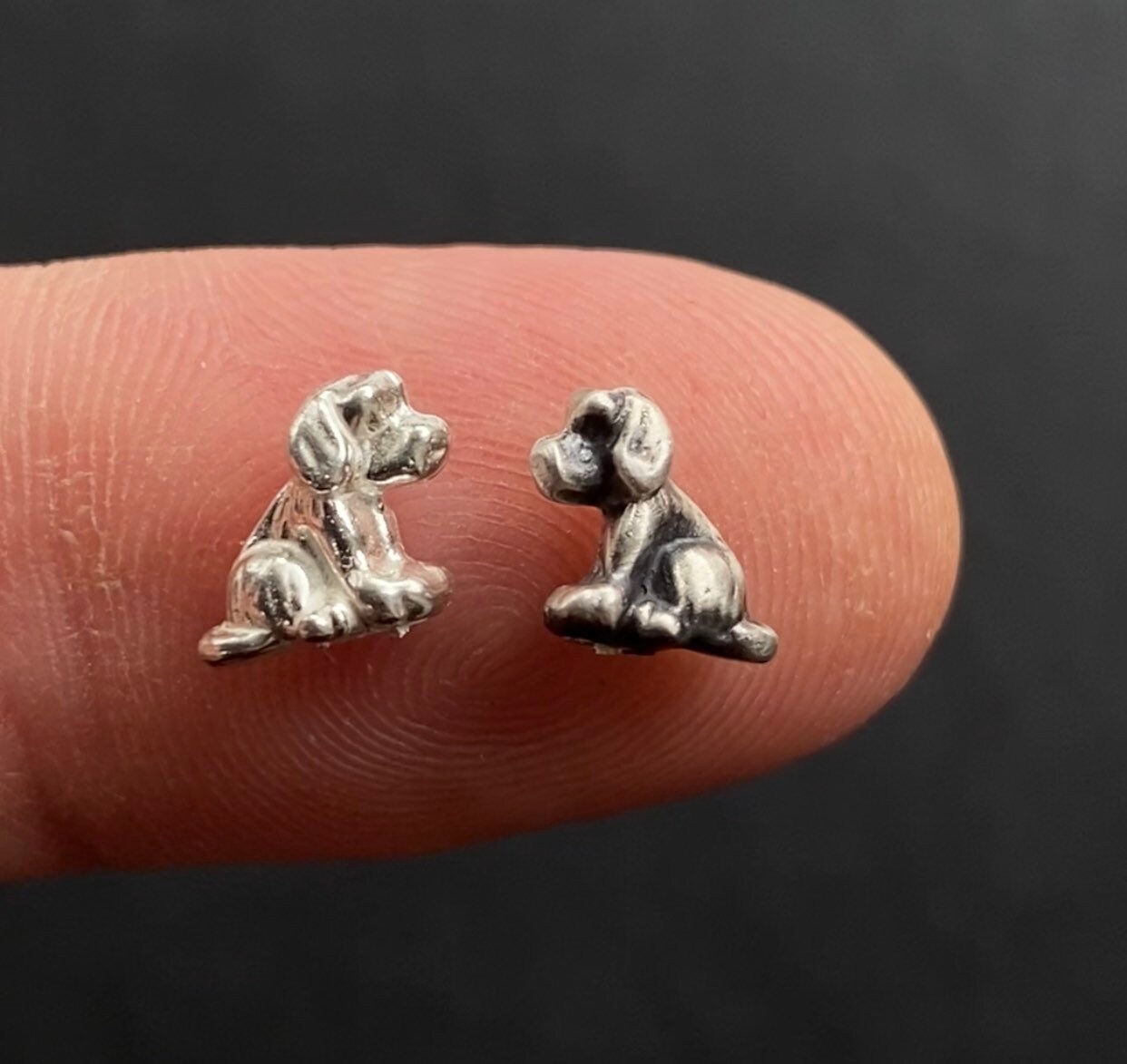 How Much Does A Cast For A Dog Cost