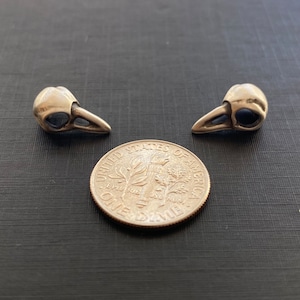 Little Crow Skull