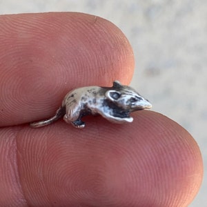 Opossum. Sterling silver castings