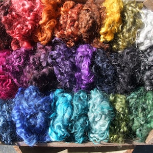 10 - 250g (0.4 - 8.8oz) Dyed British Gotland Fleece Locks