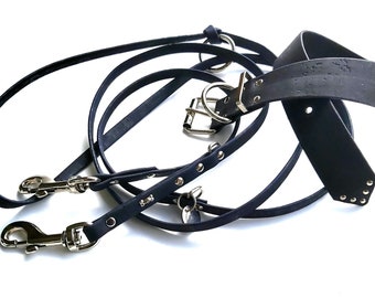Dog leash + collar - CORK 5