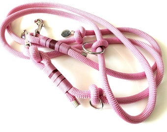 Dog leash + collar - HIPSY