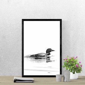 Common Loon Art Print in Black and White - Digital Download