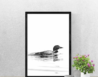 Common Loon Art Print in Black and White - Digital Download