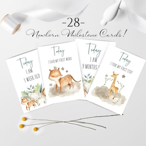 Baby Safari Theme Milestone Cards For Boy, First Year Milestones, Animal Newborn Printable Cards, Photo Prop Cards, Instant Download SFA