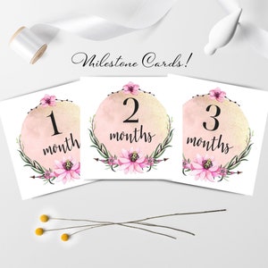Monatliche Foto Prop Karten für Neugeborene Mädchen, DIY Foto Requisiten, Baby-Dusche-Geschenk, Neugeborene druckbare Karten, digital FILE nur, Instant Download