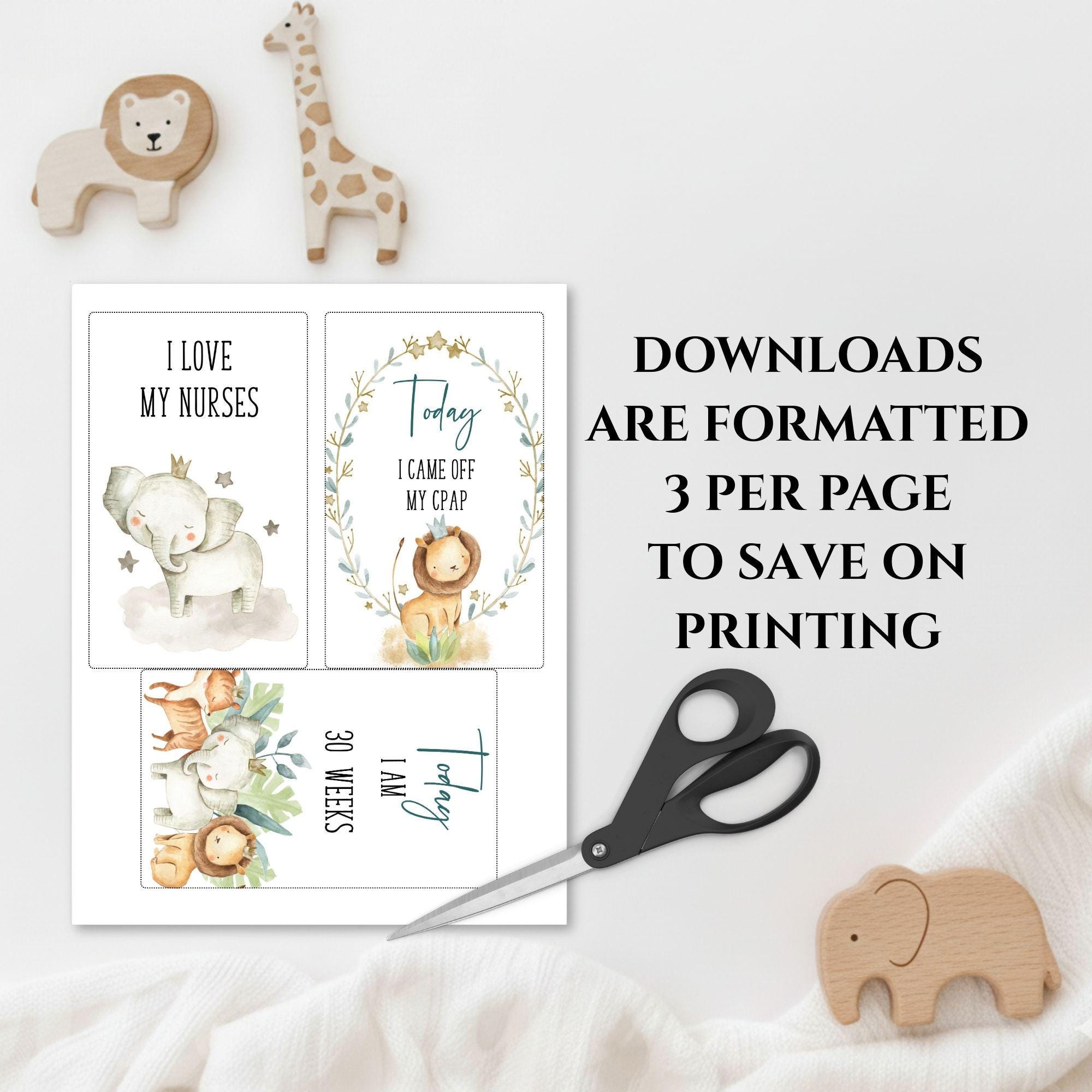 78 Safari Preemie Milestone Cards for Boy: NICU Photo Props (instant ...