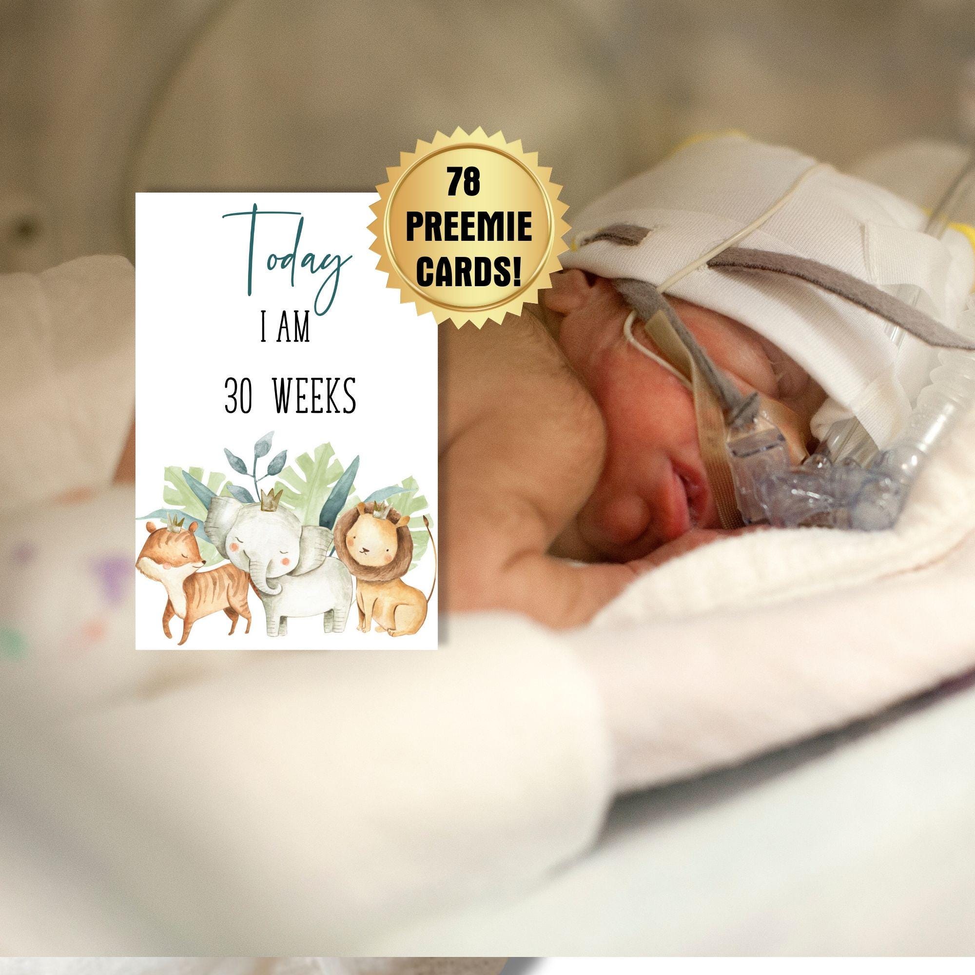 78 Safari Preemie Milestone Cards for Boy: NICU Photo Props (instant ...