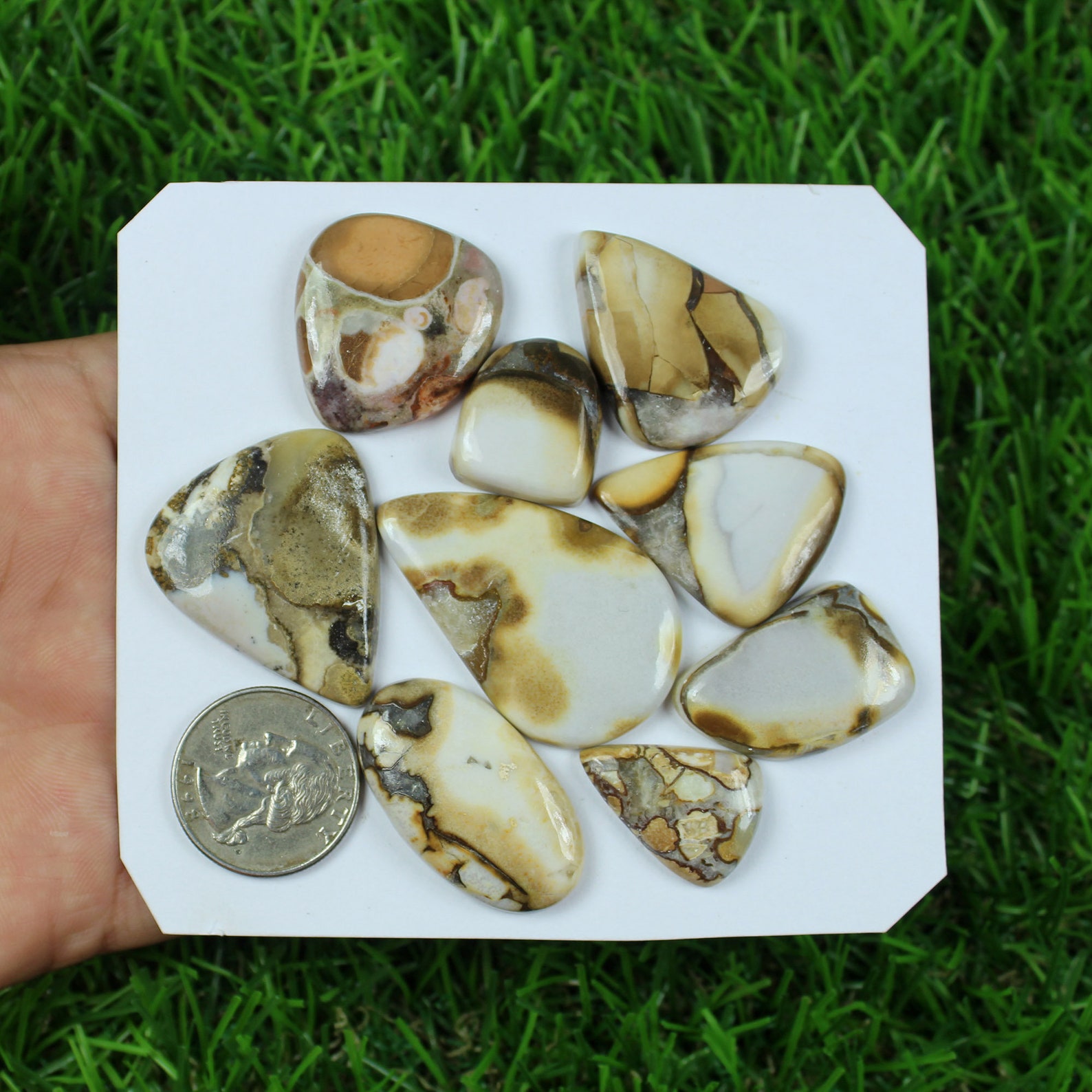 Natural Magnesite Wild Horse Jasper Gemstone Lot 6 Pieces Lot Etsy