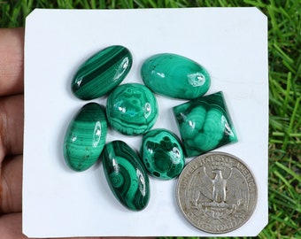 Top Quality Green Malachite Gemstone, 7 Pieces 130 Carat, Wholesale Malachite Cabochon Lot, Handmade Malachite Used For Jewelry Ring Size