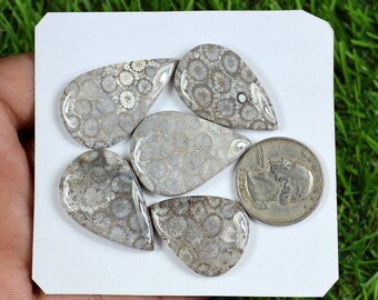 5 Pieces 130 Carat, Top Quality Grey Fossil Coral Gemstone For Jewelry Making, AAA Pear Shape Fossil Gemstone, Back Side Flat Fossil Stones