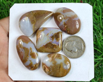 Yellow Thunder Agate Gemstone 5 Pieces Lot Of 240 Carat, Mix Shape Thunder Agate Cabochon For Jewelry, Rare Thunder Agate Lot, Wedding Gifts