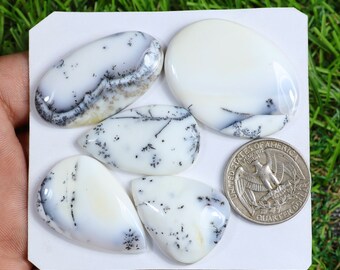 Incredible Dendrite Agate Gemstone, 5 Pieces 170 Carat, Mix Shape Dendrite Cabochon, White Dendrite Gemstone, Crystal Dendrite, Gift For Her