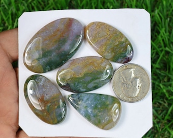 Natural Moss Agate Gemstone, 5 Pieces Lot 204 Carat, Top Blood Moss Agate Cabochon, Crystal Moss Gemstone, AAA Moss Agate Flatback Cabochon