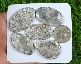 Natural Fossil Coral Gemstone Lot, 5 Pieces 196 Carat, Mix Shape Fossil Gemstone AAA Flatback Cabochon Grey Fossil Coral For Jewelry Making