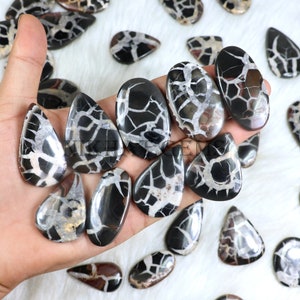 Septarische Edelstein-natürliche septarische Cabochon-Schwarz-Septari-Lot-Großhandel-Septarier-Steinmischungs-Form-Septianer-Schmuck-Septianer-Anhänger