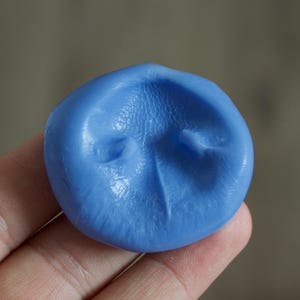 Pet Nose Impression Kit – Safe Silicon Moulding Putty for Paw Prints