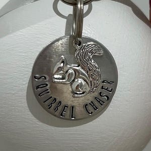 Squirrel Themed Dog Tag, Pet ID Tag, Custom Dog Tag, Animal Design, Engraved Dog Tag, Pet Accessory, Dog Lover Gift