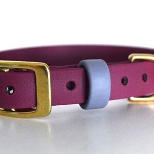 16mm (5/8”) Biothane Dog Collar