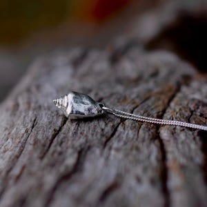 May include: A silver seashell pendant necklace. The pendant is a detailed miniature of a conch shell, attached to a delicate chain. The necklace is displayed on a weathered wooden surface, highlighting the natural theme of the jewellery.