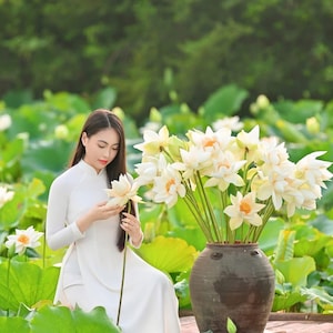 Ao Dai Lunar New Year 2026 | Vietnamese Traditional Ao Dai for Women  solid color with same color pants |purple|black|white