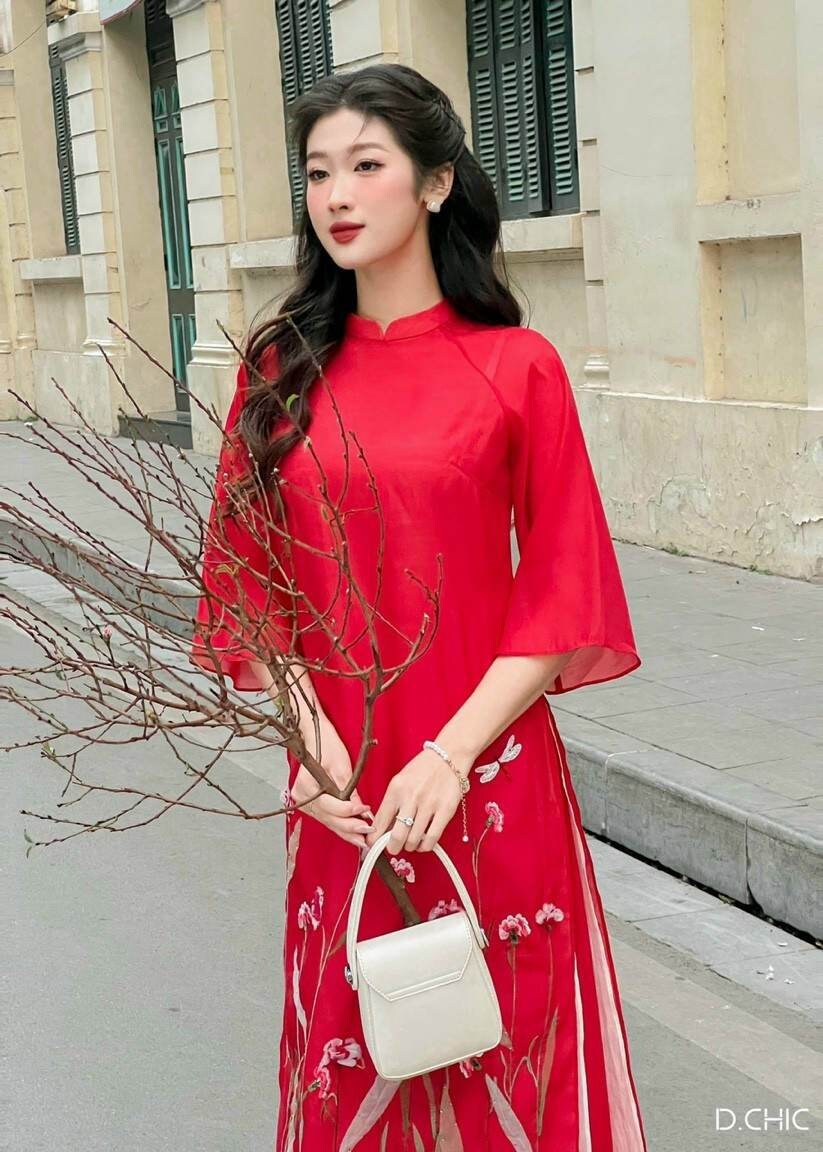 [No 258] ベトナムアオザイ(Áo dài Việt Nam) Vietnamese Ao Dai Lace Red Includes Ane Ao Dai Top And One