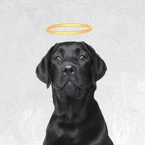 CUSTOM PET memorial portrait from photo, custom angel pet memorial, dog angel wings, pet halo, custom pet digital oil painting, dog memorial