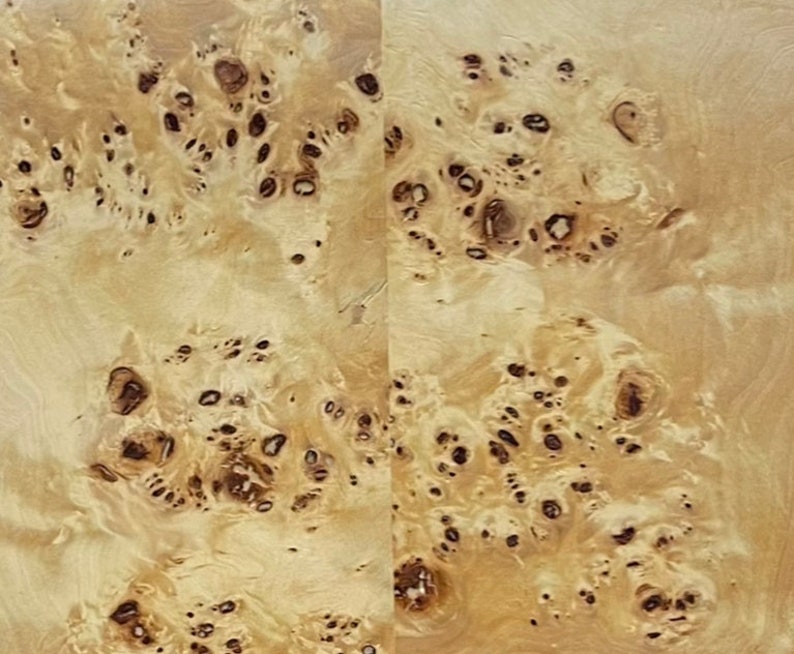 May include: Close-up of a light brown wood veneer with a unique burl pattern. The wood has a natural, organic texture with many small, dark brown knots.