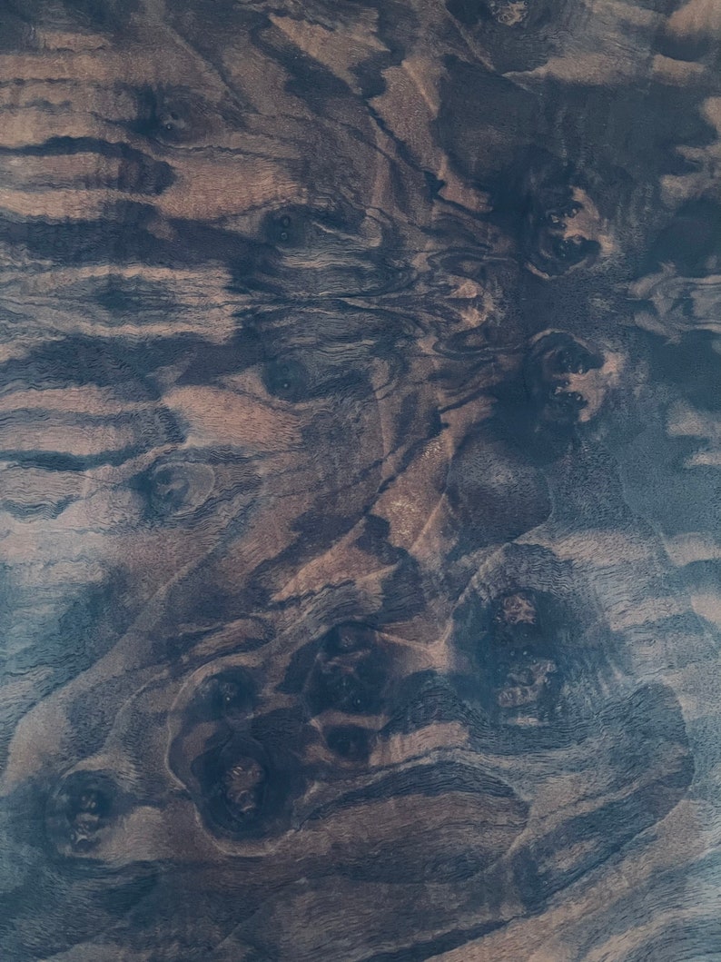 May include: Close-up of a dark wood grain with a swirling pattern. The wood has a deep brown color with black streaks and knots.