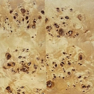 K&ouml;nnte beinhalten: Nahaufnahme eines hellbraunen Holzfurniers mit einem einzigartigen Maserungsmuster. Das Holz hat eine nat&uuml;rliche, organische Textur mit vielen kleinen, dunkelbraunen Knoten.