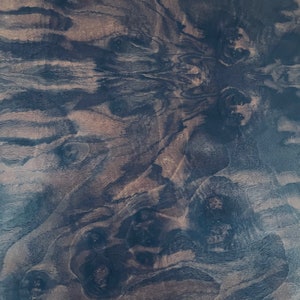 May include: A flat wooden surface featuring a dark brown and black burl wood grain pattern. The texture displays intricate, swirling organic lines and circular knot formations that create a dense, layered appearance across the entire plane.