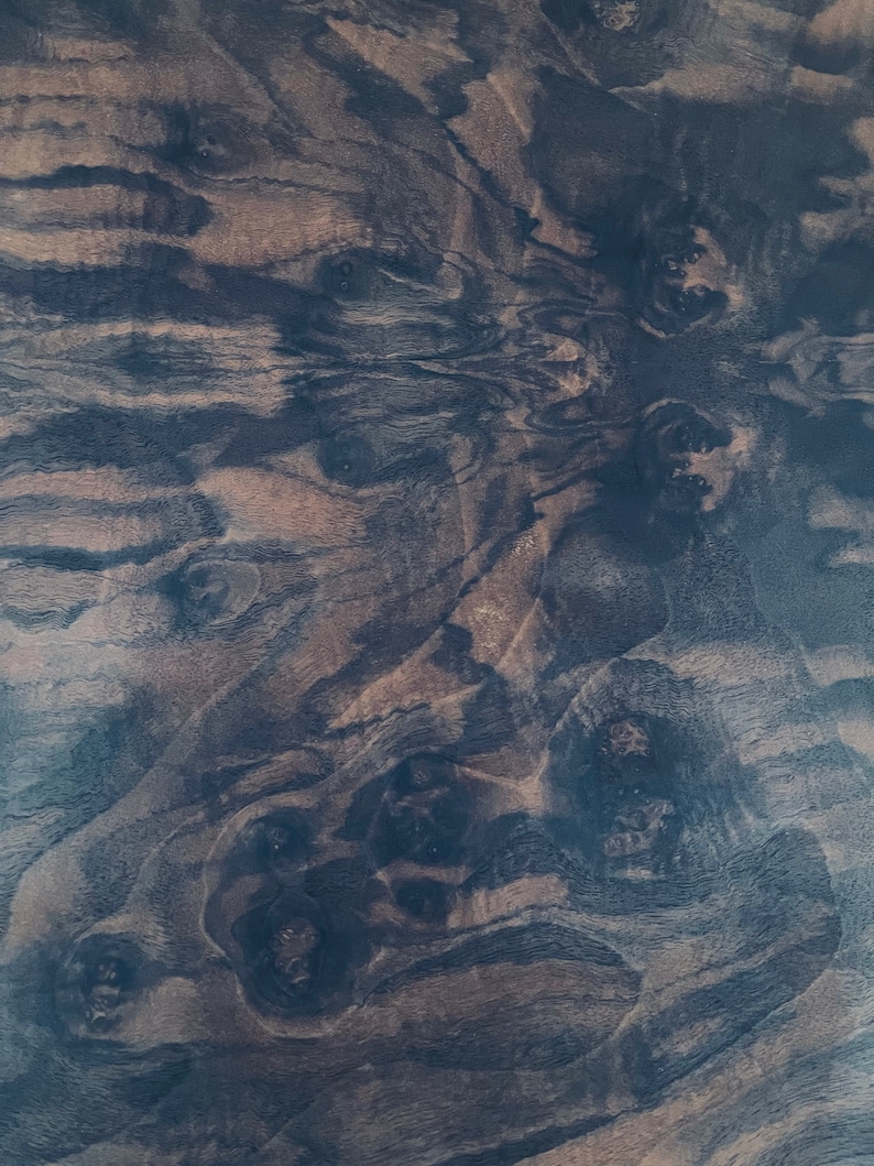 May include: A flat wooden surface featuring a dark brown and black burl wood grain pattern. The texture displays intricate, swirling organic lines and circular knot formations that create a dense, layered appearance across the entire plane.