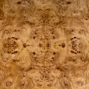 May include: A light brown wood veneer featuring a complex, symmetrical burl grain pattern. The surface displays a dense arrangement of dark brown circular knots and swirling, organic wood fibers that create a highly detailed, textured appearance.