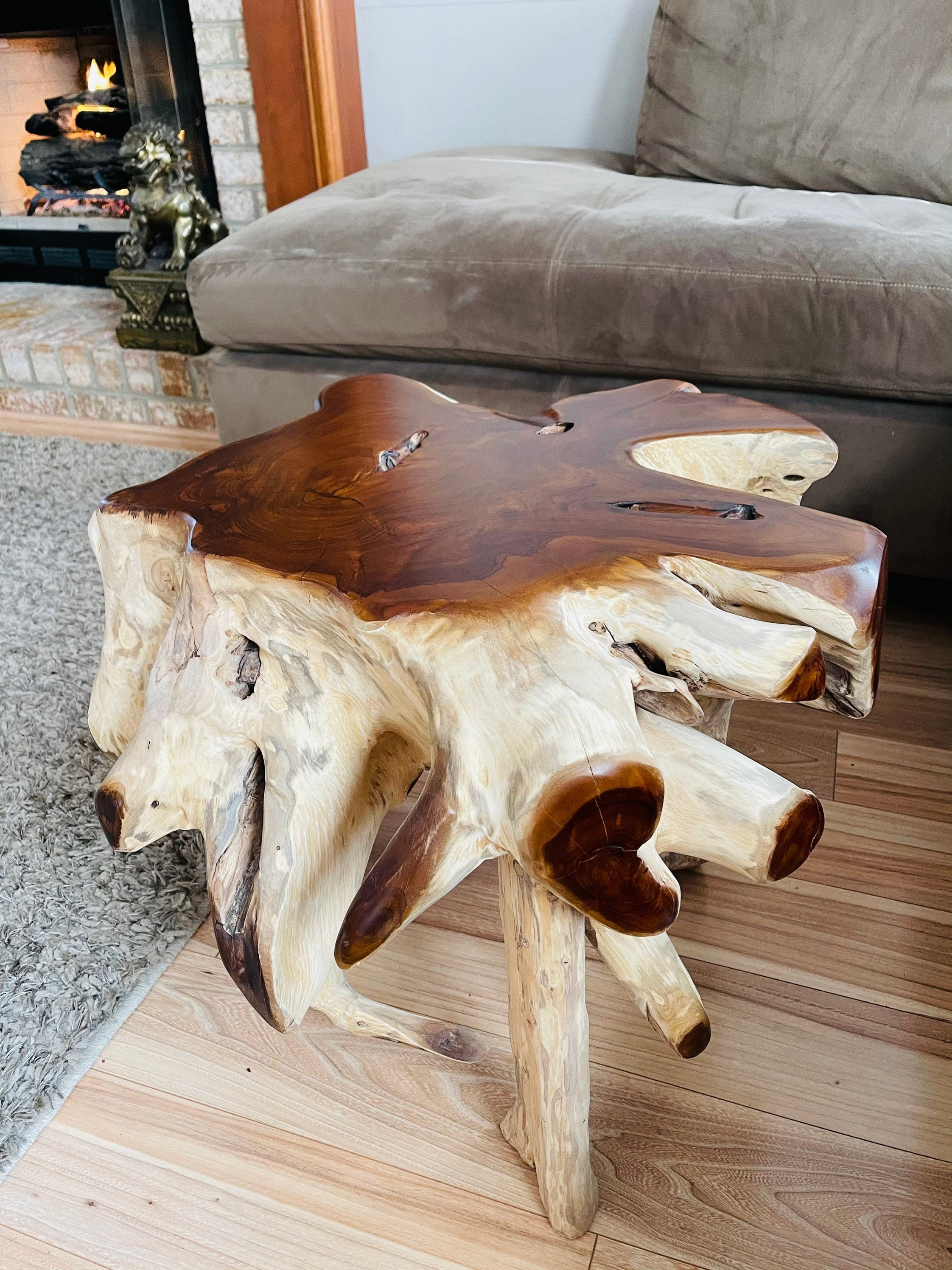 Tea plant root table outlet