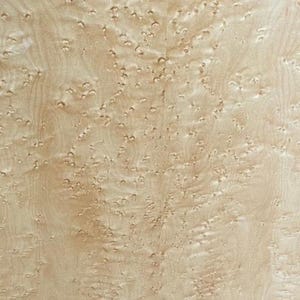 May include: A light beige wood veneer surface featuring a natural burl grain pattern. The texture consists of small, dense, circular clusters and swirling wood fibers that create a complex, organic, and repeating visual design across the flat plane.