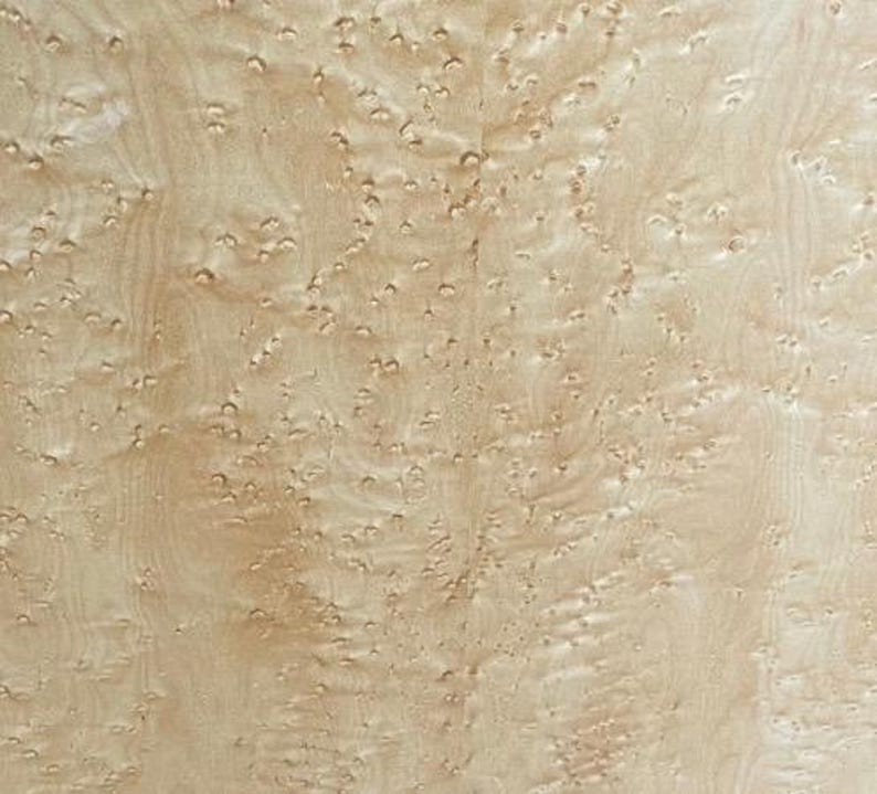May include: A light beige wood veneer surface featuring a natural burl grain pattern. The texture consists of small, dense, circular clusters and swirling wood fibers that create a complex, organic, and repeating visual design across the flat plane.