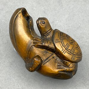 May include: A detailed wooden carving of a turtle emerging from a curved, shell-like form. The turtle has a textured shell and detailed features. The carving is a warm, brown color, suggesting aged wood. The overall design is intricate and artistic.