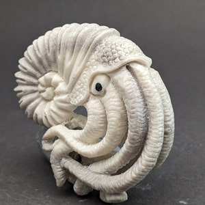 Può includere: Una scultura in legno bianco di un nautilus con un guscio e tentacoli dettagliati.