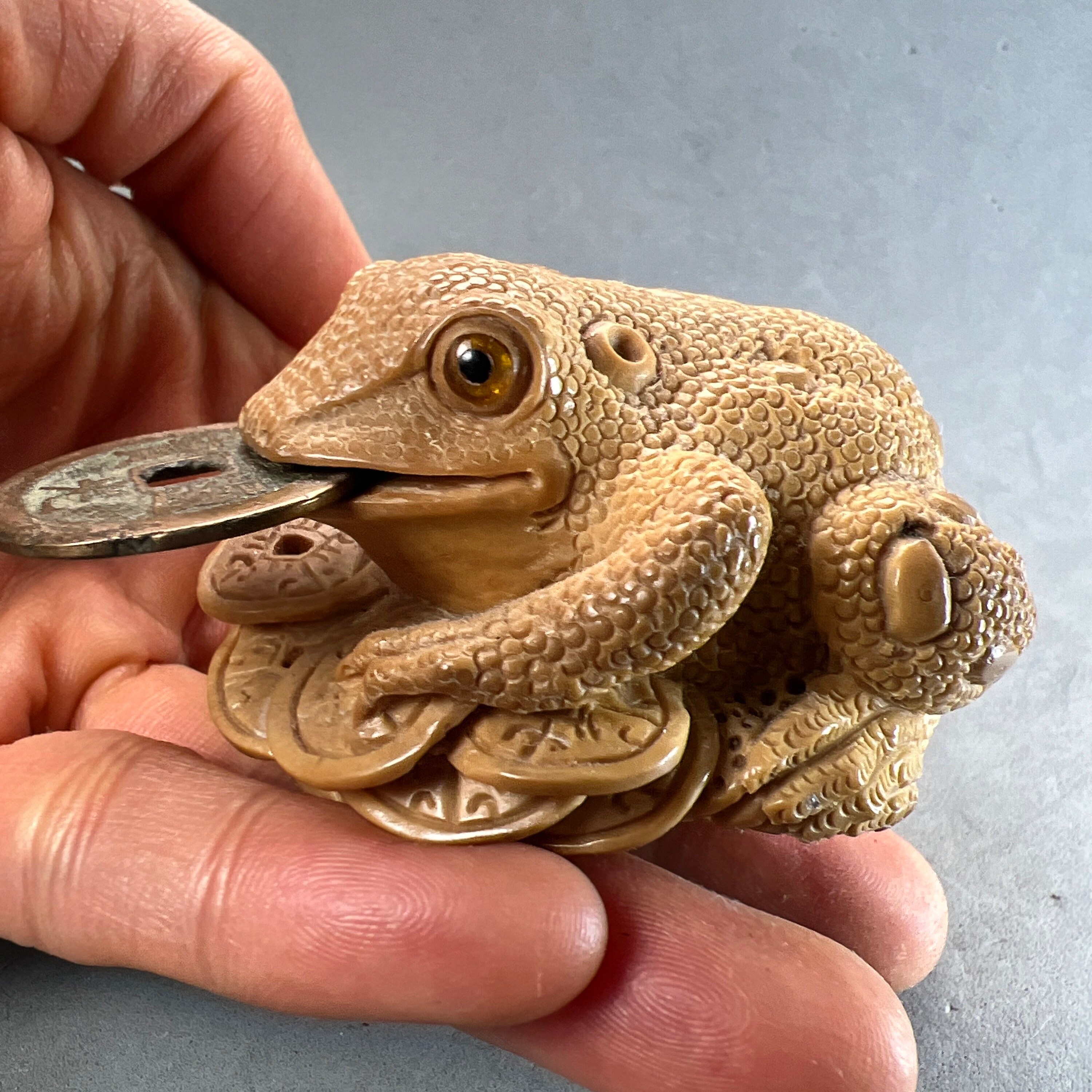 Hand Carved Giant Palm Tree Nut: Money Toad Bites on a Coin, Hand