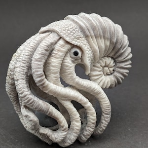 Moose antler carving: naturally shed moose antler carving of a nautilus, living fossil, moose antler nautilus, sea, intricatelly carved