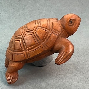 May include: A hand-carved wooden turtle figurine with a detailed shell and realistic features. The turtle is brown in color and has a textured surface.