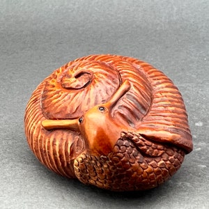 Peut inclure: Une sculpture en bois sculptée à la main d'un escargot avec des détails complexes. L'escargot est enroulé dans sa coquille, qui est en bois et de couleur brune. Le corps de l'escargot est également en bois et de couleur brune.