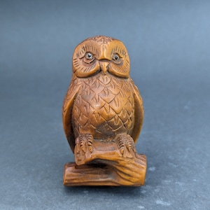May include: A hand-carved wooden owl figurine perched on a branch. The owl has a detailed, textured design and realistic features, including large eyes and a beak.