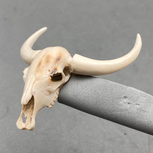 May include: A detailed, off-white miniature bull skull with curved horns. The skull has visible eye sockets and nasal cavity. The horns are smooth and curved. The skull rests on a grey, cylindrical object against a neutral background.