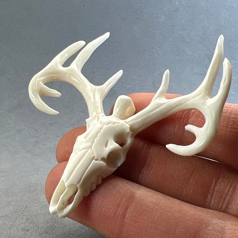 May include: A detailed, off-white deer skull pendant with prominent antlers. The skull is intricately carved, showcasing the eye sockets, nasal cavity, and teeth. The antlers curve gracefully, adding to the pendant's realistic appearance. The pendant is held in a hand.