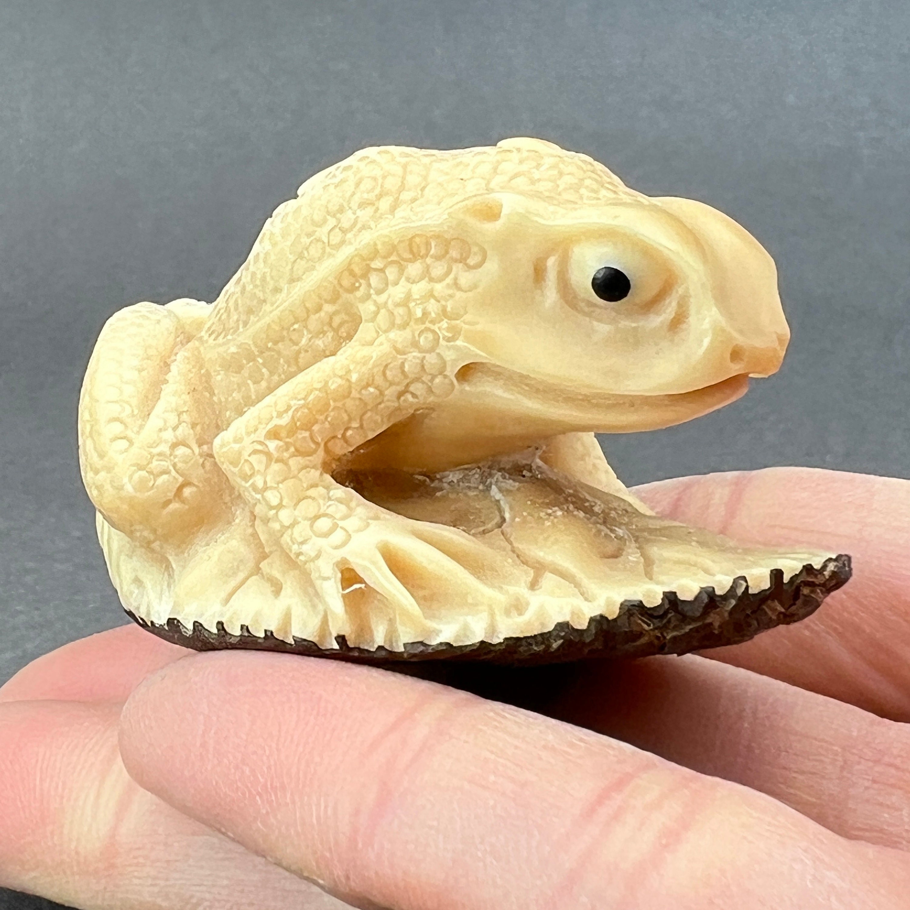 Hand Carved Tagua Nut Frog Ornament, Tagua Nut Frog Netsuke, Hand
