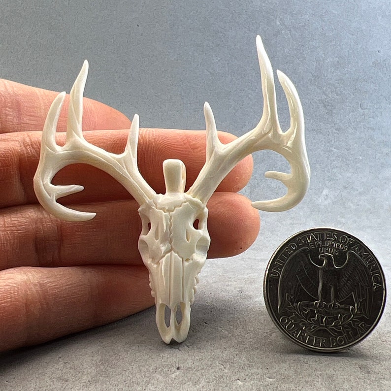 May include: Ivory-colored deer skull carving with prominent antlers. The detailed carving features the skull's structure and the branching antlers. A US quarter coin is next to the carving for size comparison.