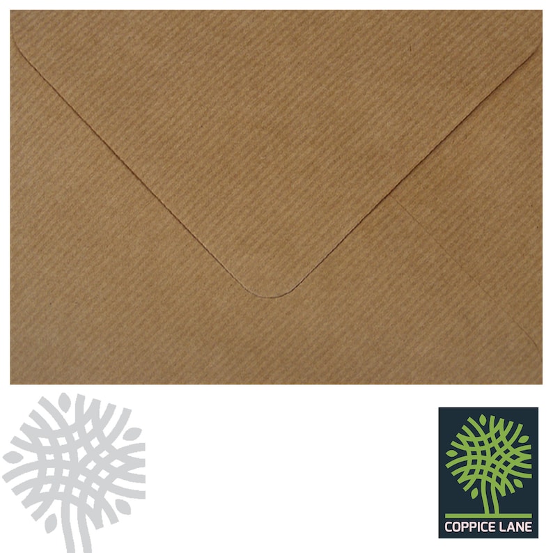 May include: A brown paper envelope with a textured surface.