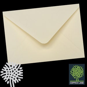 May include: A blank ivory envelope with a slightly textured surface.